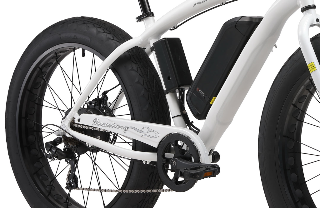 Fat Tire Beach E-bike